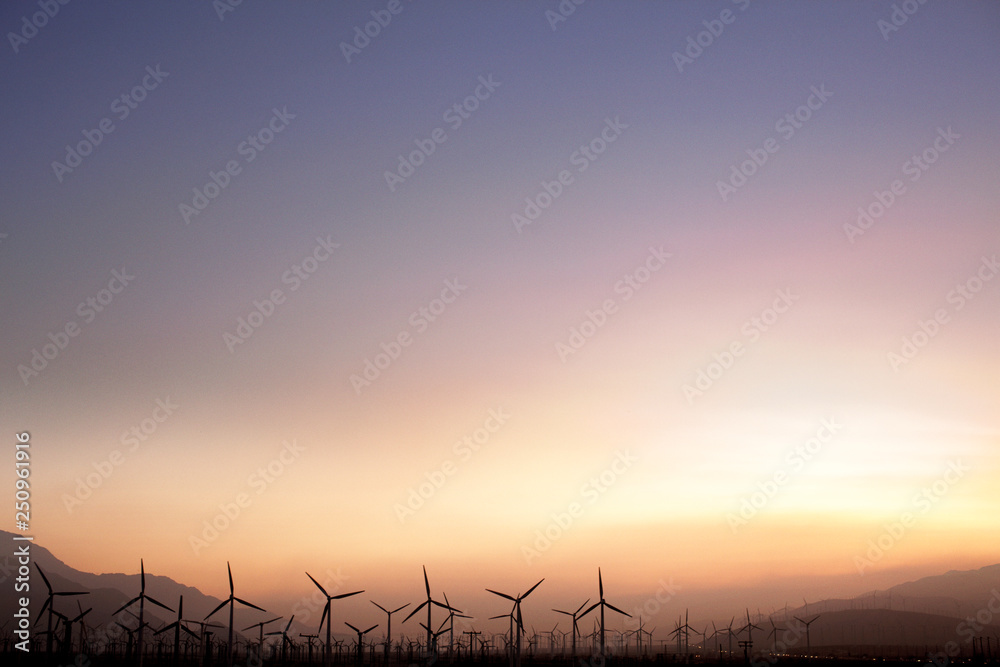 Windmills at Sunset 