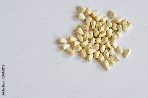 Valokuva Safflower seeds isolated on white background.