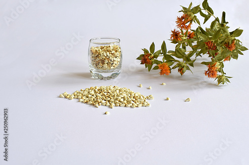 Canvas-taulu Safflower seeds and safflower stem with flowers.