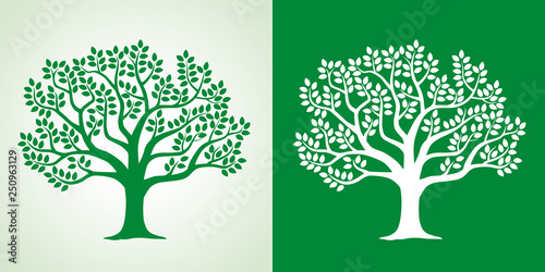 Illustration set of leafy tree