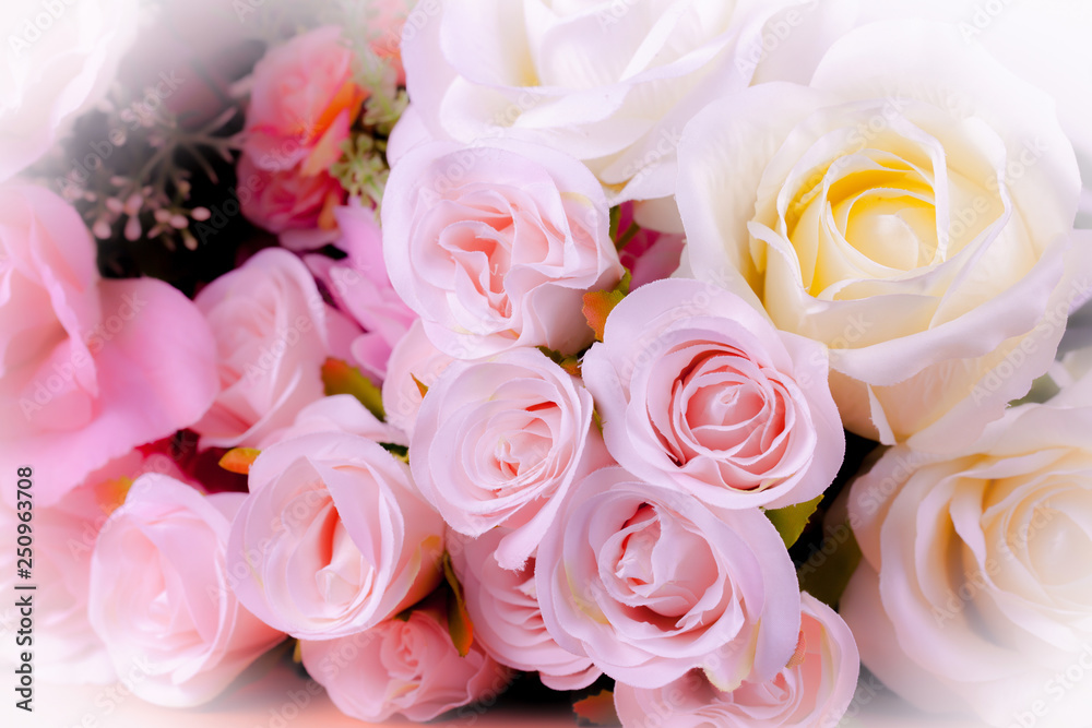 Sweet color roses in soft and blur style for background Sweet color roses in soft and blur style for background