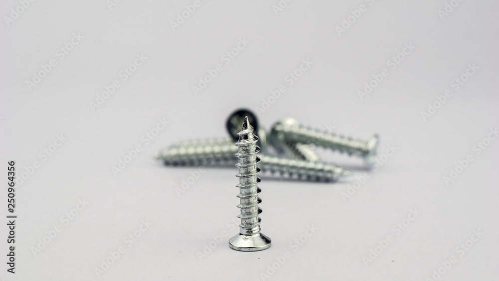 Close-up on screws, metal screws, iron screws, wood screws on white background Close-up on screws, metal screws, iron screws, wood screws on white background