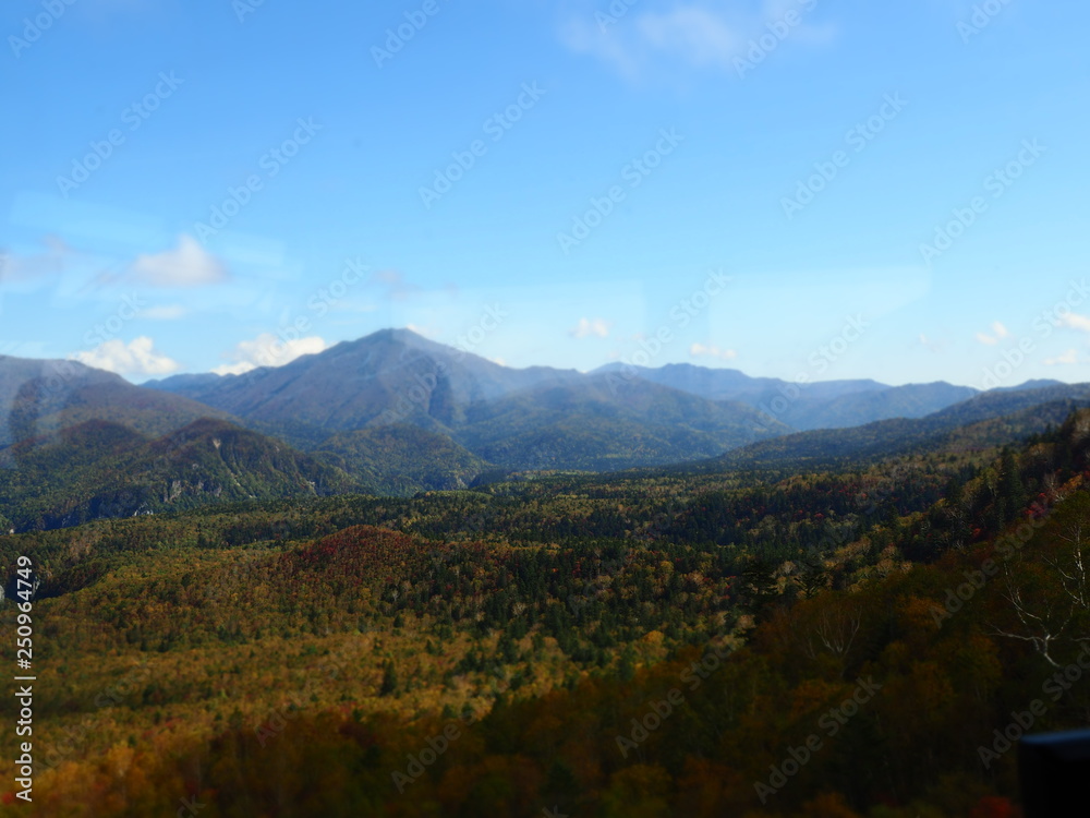 Autumn, Autumn, Autumn - Hokkaido, Japan