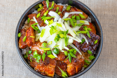 Rice bowl and fried pork belly, top view - a traditional Chinese and Korean dish.