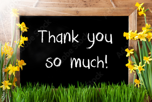 Sunny Spring Narcissus, Chalkboard, Text Thank You So Much