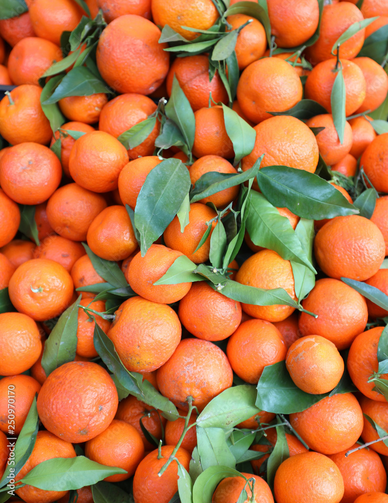background of many orange tangerines