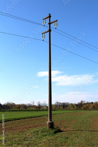 Tall concrete power line utility pole with glass insulators holding electrical wires in middle of field surrounded with grass and trees with cloudy blue sky in background on warm sunny day