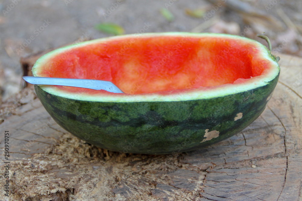 Half of the red watermelon was eaten Half of the red watermelon was eaten