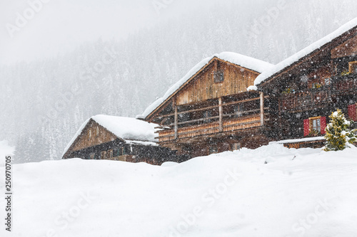 Under a heavy snowfall. Walk in the ancient village of Sappada. Friuli photo