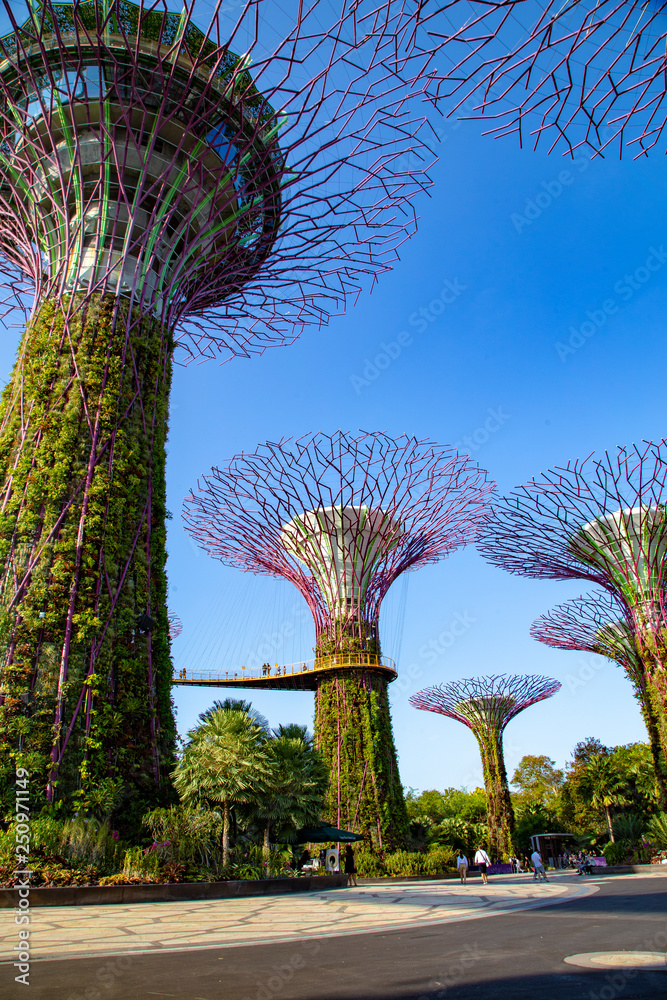 Fototapeta premium Singapure