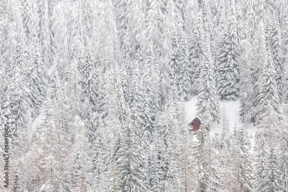 Fototapeta premium Snow magic. Walk in the ancient village of Sappada. Friuli