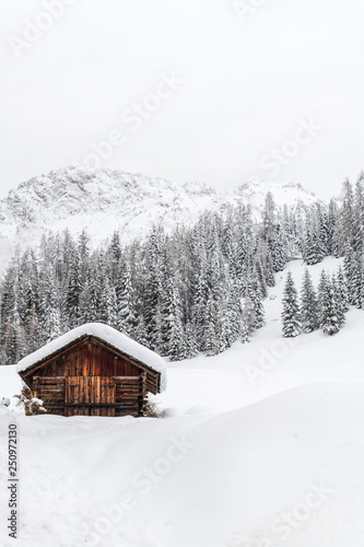 Snow magic. Walk in the ancient village of Sappada. Friuli © Nicola Simeoni