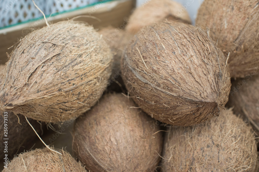coconuts in cardboard boxes coconuts in cardboard boxes