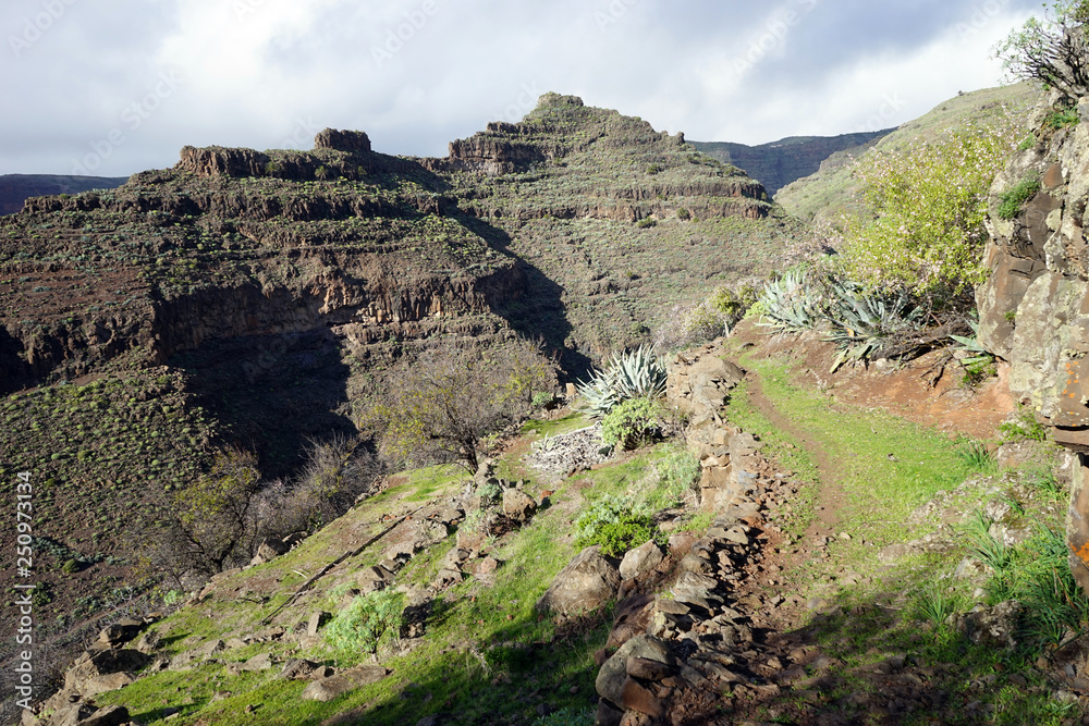 Mountain trail Mountain trail