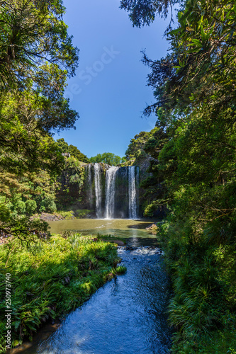 Whangarei Falls Scenic Reserve  New Zealand