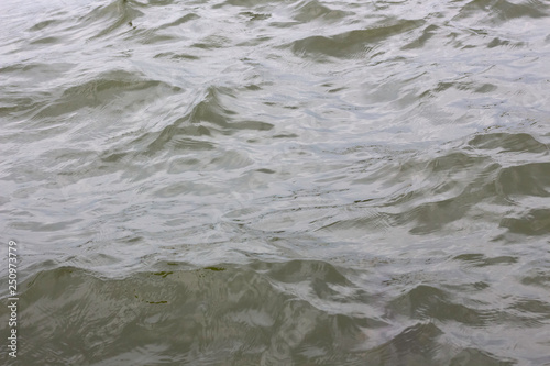 Surface of water waves