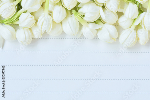 Jasmine flowers on the white message card. Jasmine flower is the flower used in cosmestic industrial, rituals, religious ceremonies, adore the buddha and the symbol for Thai mother's day  photo