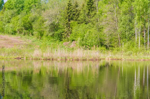 Large forest lake in spring in clear weather