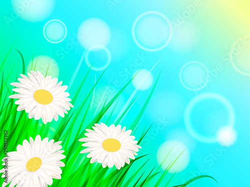 Summer chamomile glade. Vector illustration for poster