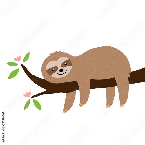 Cute sloth on the tree isolated on white background