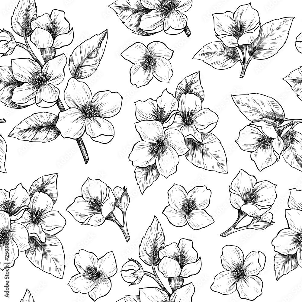 Jasmine flowers. Vector seamless pattern. Vintage style