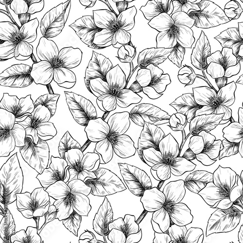Jasmine flowers. Vector seamless pattern. Vintage style