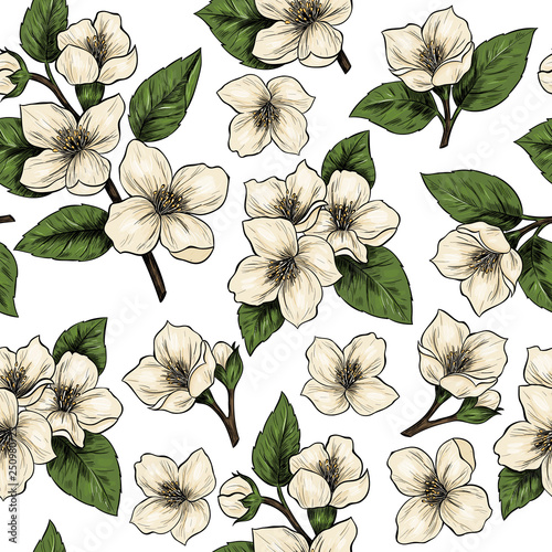 Jasmine flowers. Vector seamless pattern. Vintage style