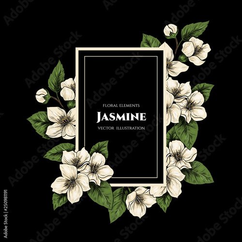 Vector frame with jasmine flowers. Hand drawn. Vintage style