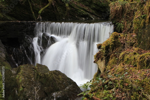 waterfall in forest