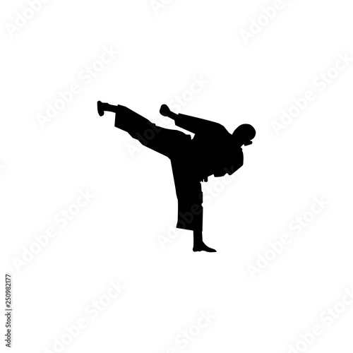 KARATE KILLS ATTACKING SILHOUETTE