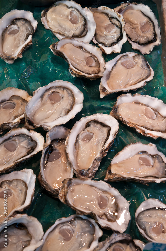 Lots of fresh oysters on sale Lots of fresh oysters on sale