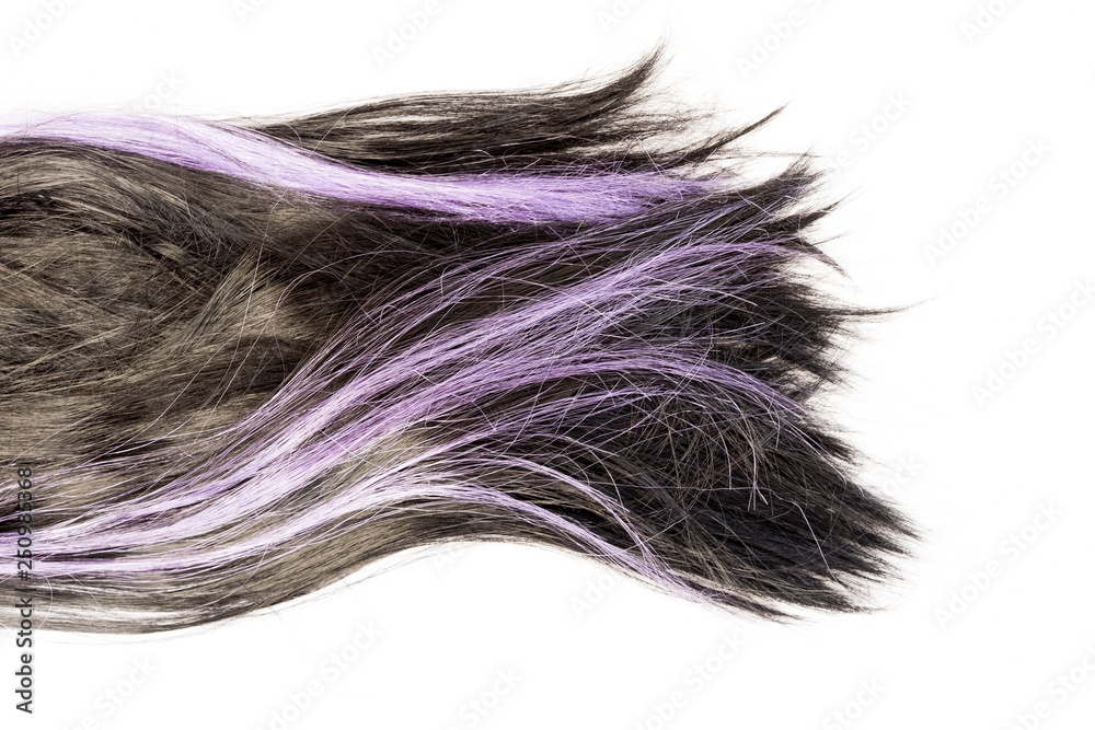 dark black and purple hair on white background dark black and purple hair on white background