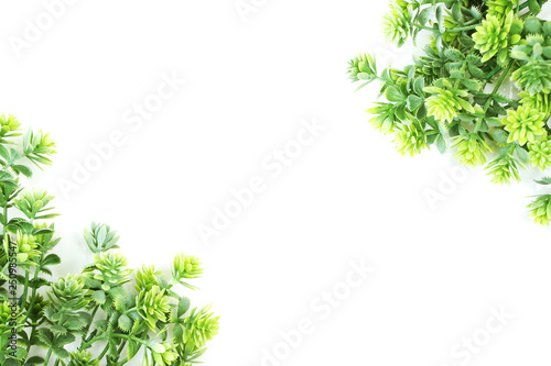 green artificial plant with space copy on white background © may1985