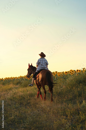 Boy teenager in a hat, galloping on a horse on the background of a field of sunflowers © lanamilana