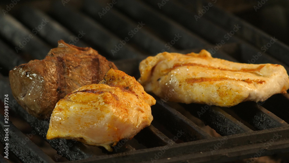 Grilled meat, two chicken fillets or turkey meat with grill prints and veal meat is medalled grilled. Macro photography