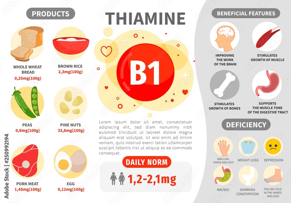 Infographics Vitamin B1. Products containing vitamin. Daily norm