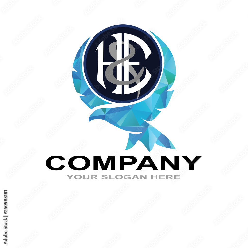 logo eagle modern with h&E logo eagle modern with h&E