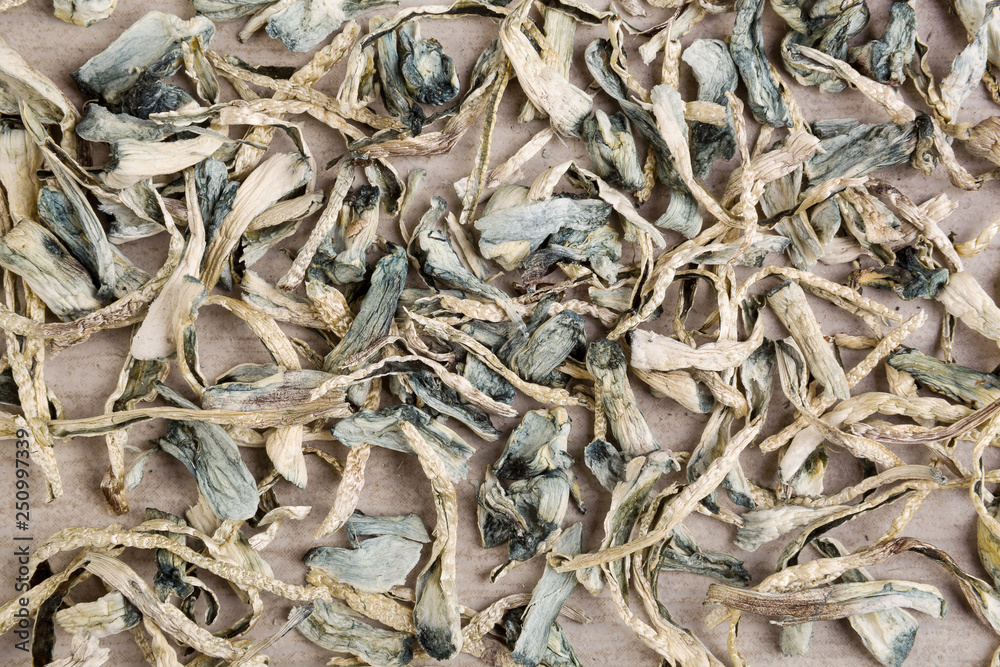 Psychoactive dry magic mushrooms. Psychoactive dry magic mushrooms.