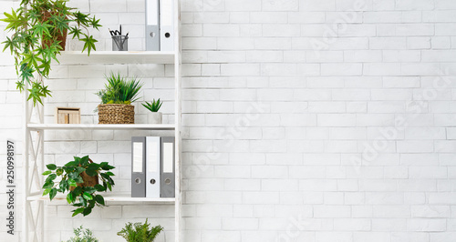 Office bookcase with plants and folders over wall photo