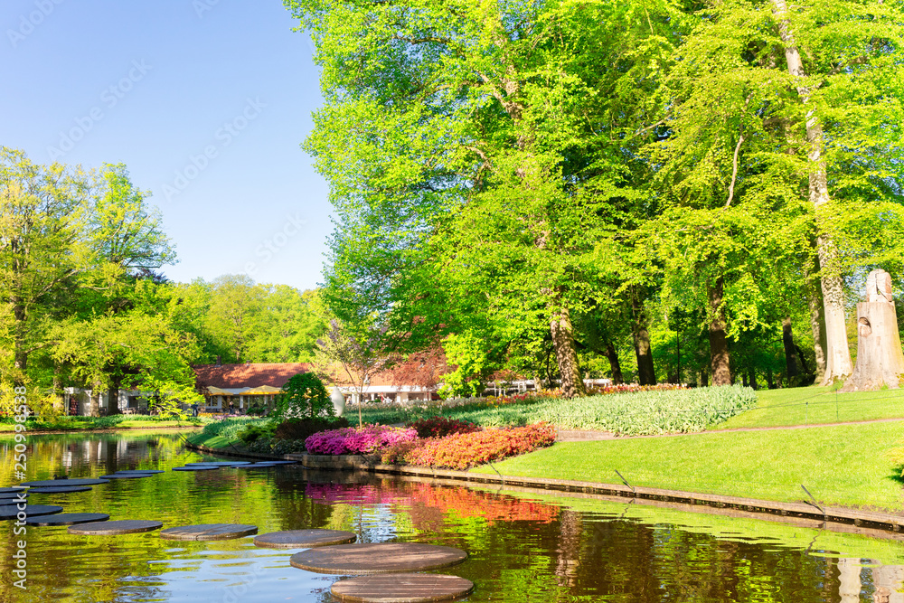 Fototapeta premium spring pond in park