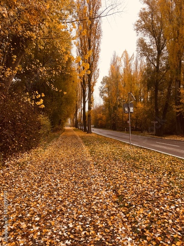 Herbst auf dem Insel Reichenau