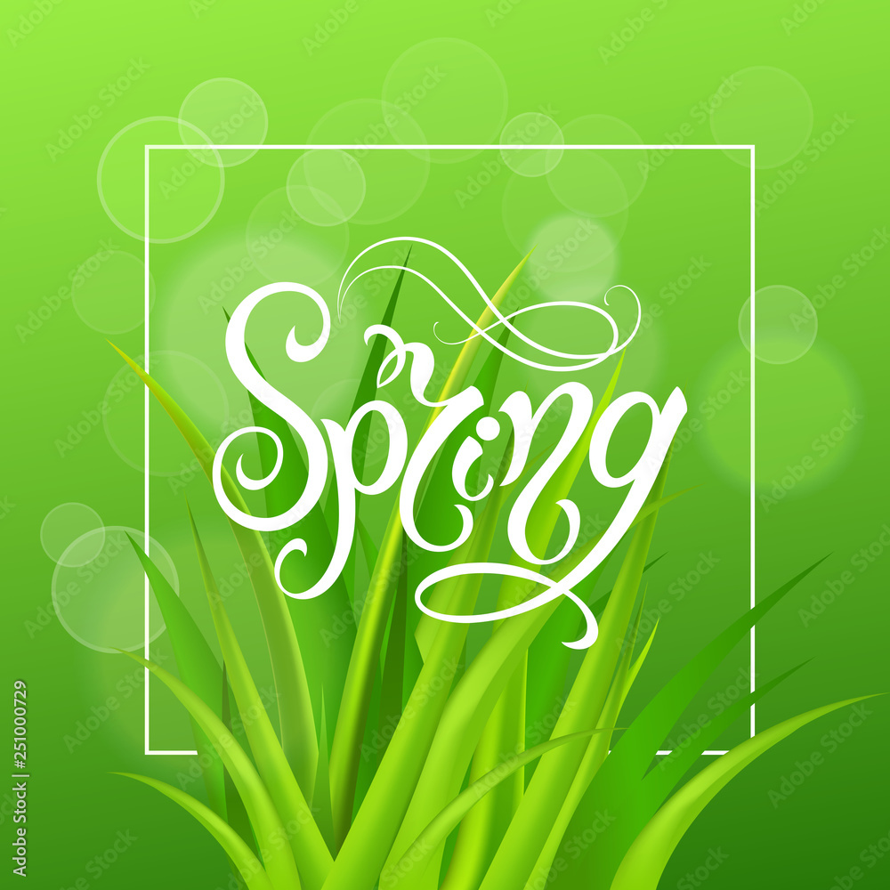 Spring time. Handwritten calligraphy lettering with grass background. Vector image. Spring time. Handwritten calligraphy lettering with grass background. Vector image.