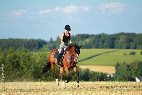 Young horse woman rides young horse on a harvested field in various gaits. © RD-Fotografie