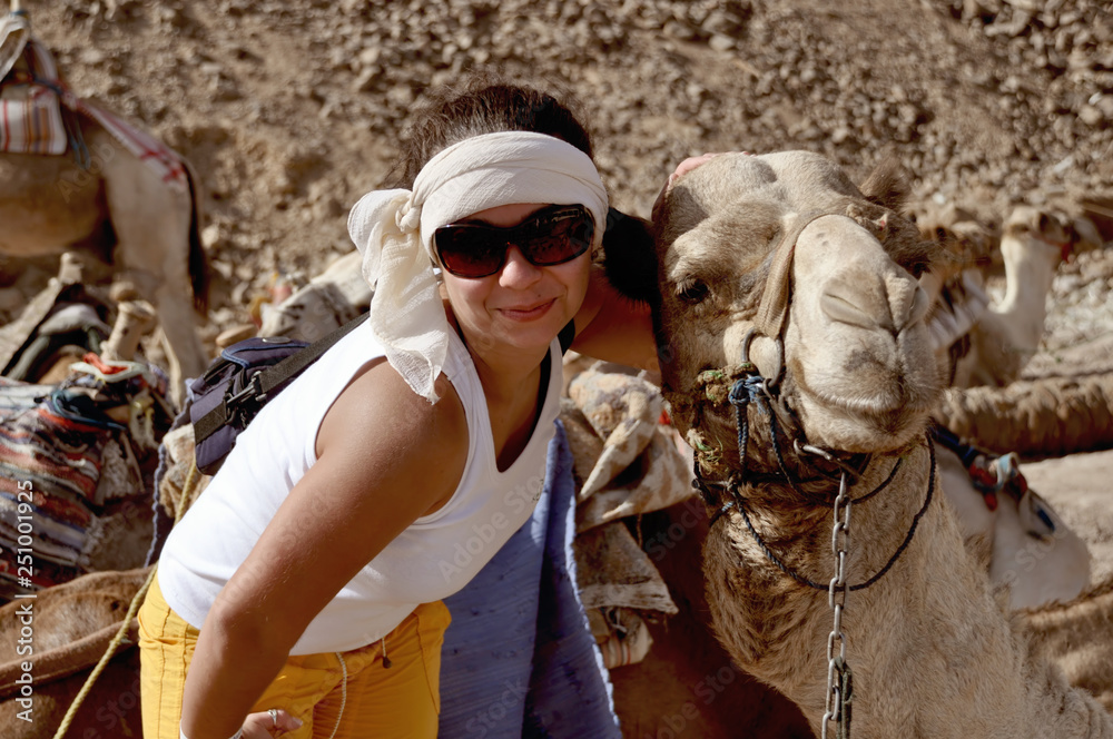 Camel travel, tourism in Egypt, recreation and entertainment
