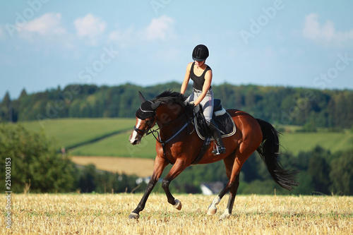 Young horse woman rides young horse on a harvested field in various gaits. © RD-Fotografie