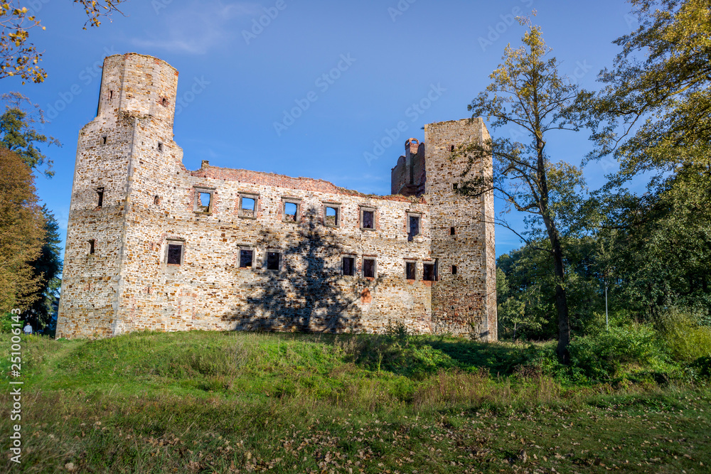 ruiny średniowiecznego zamku wybudowanego przez Kazimierza Wielkiego w Drzewicy