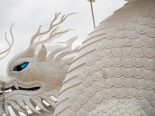 The Pattern of White Dragon Head photo