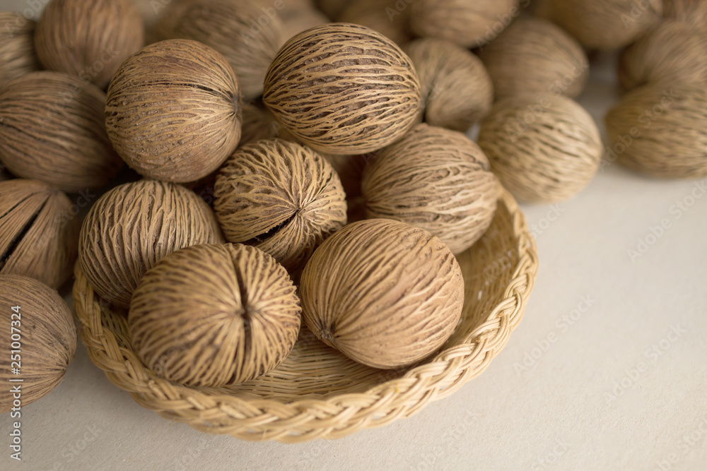 Pong pong seed. Cerbera odollam fruit. Othalanga - Suicide tree Pong pong seed. Cerbera odollam fruit. Othalanga - Suicide tree