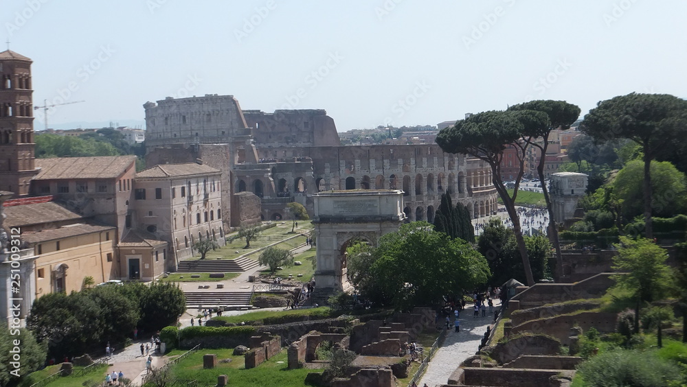 colosseo dal palatino veduta di Roma