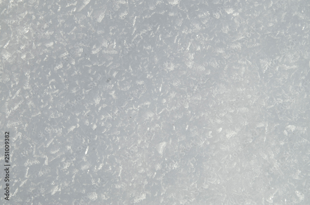 White snow closeup in winter